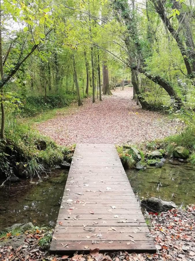Natura Amb Calma